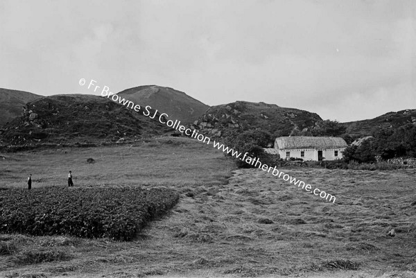 COTTAGE BY ROAD TO BUNGLASS